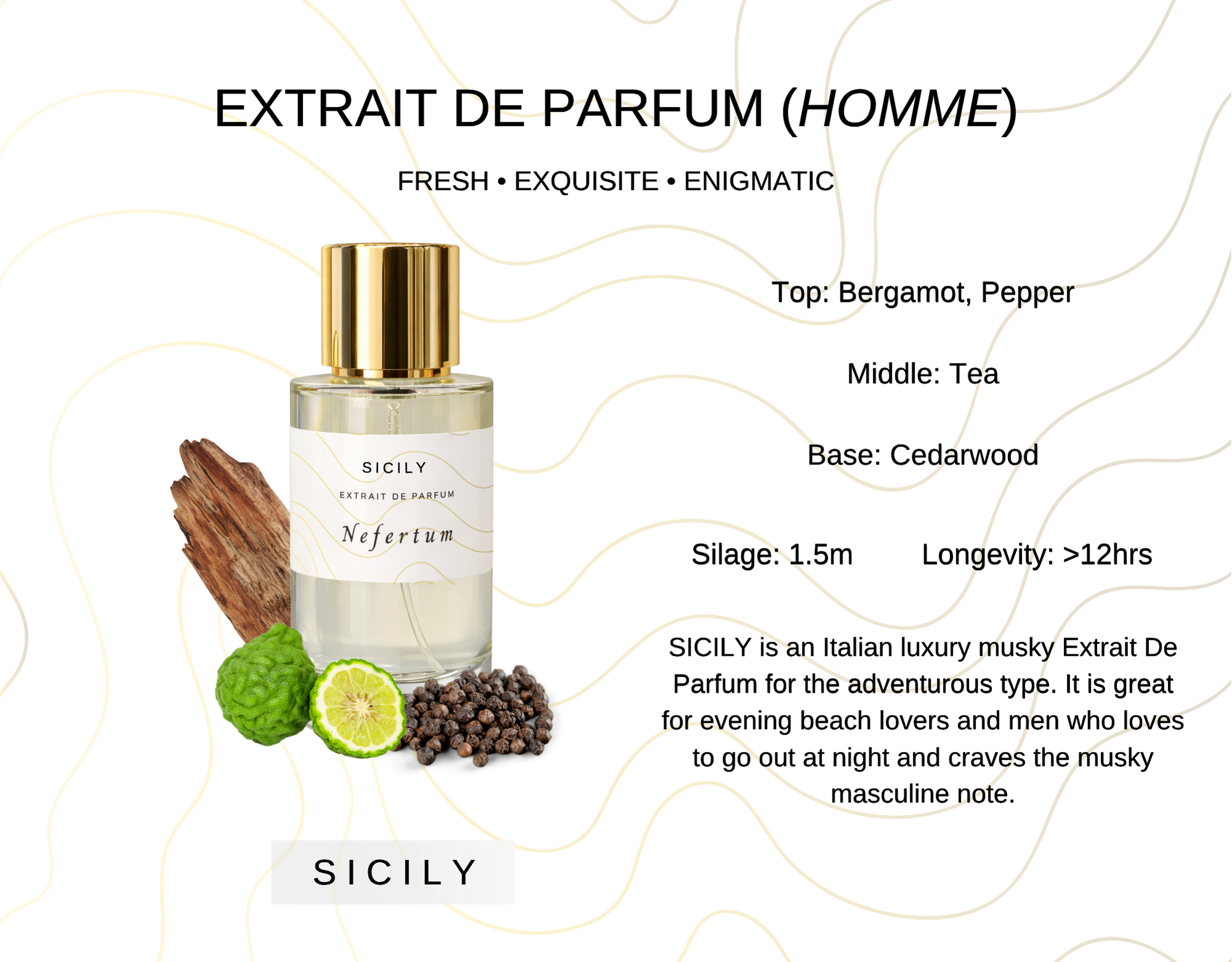 Perfume Hair oil treatment 50ml